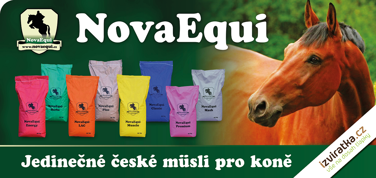 Banner-NovaEqui-obdélník1