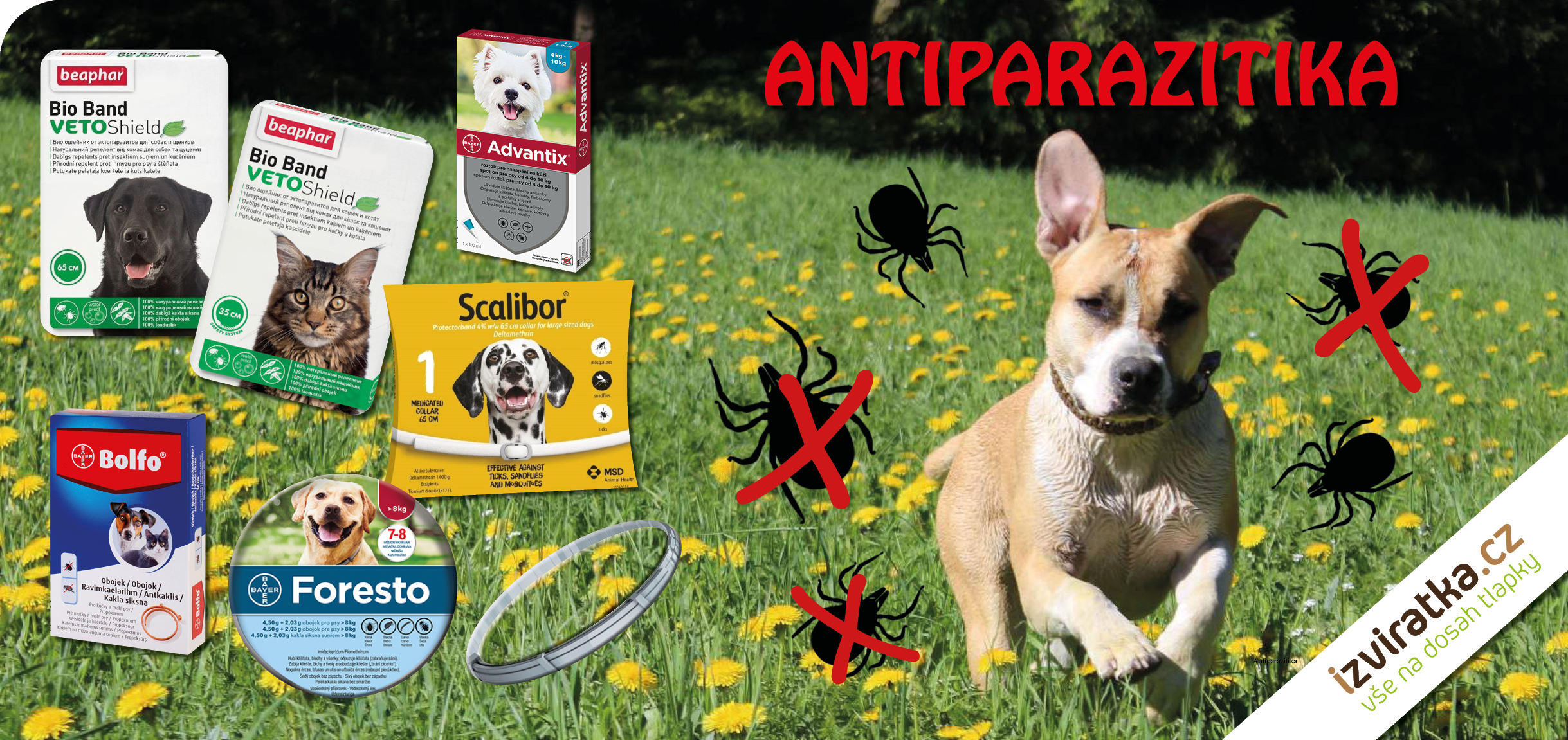 Antiparazitika - izviratka.cz
