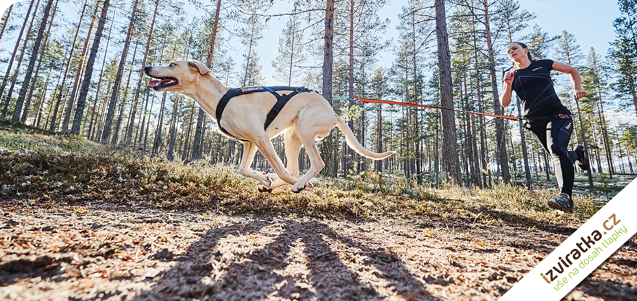 Banner-Izvířátka-obdelník-Canicross1