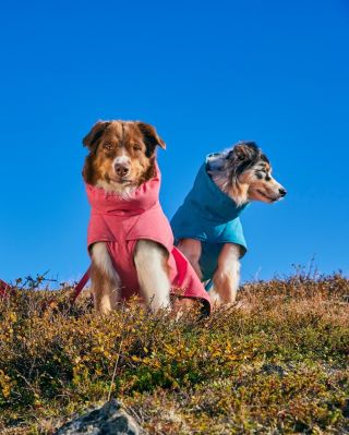 A protože "winter is coming" ❄️je dobré Vám představit i novou kolekci již prověřené zimní bundy EXPEDITION PARKA...
