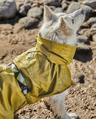 Maximální viditelnost s celoreflexní ultralehkou jednovrstvou celoroční pláštěnkou! Pak volte odolnou kurkumovou...